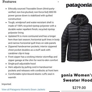 ❌🚫SOLD❌🚫Patagonia down sweater hoody